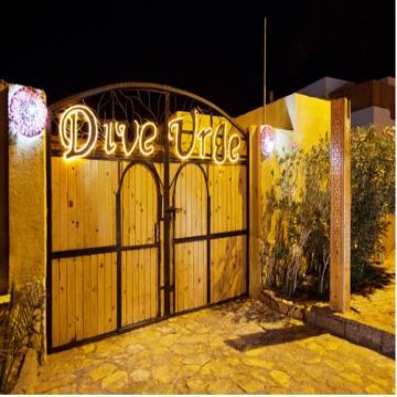 Dive Urge - Dahab 