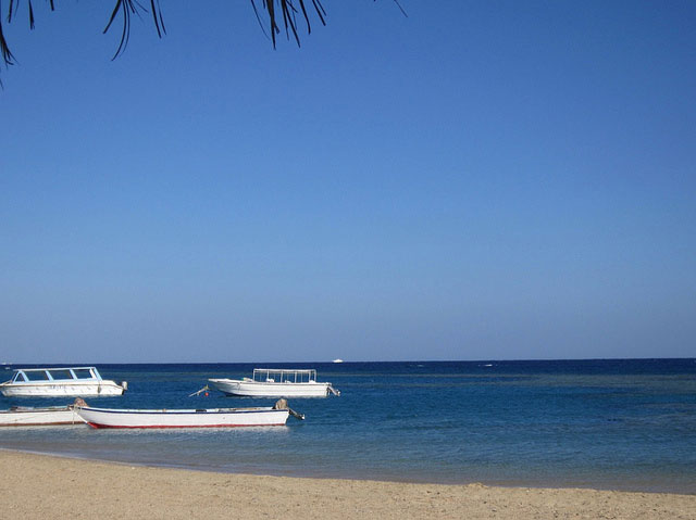 Hotels in Marsa Alam  -  Egypt 